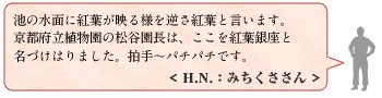 人気スポットその2クチコミ情報