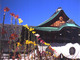 大覚寺　嵯峨菊展