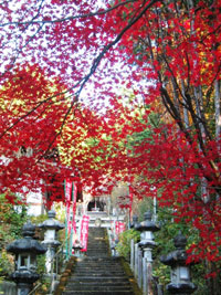 三宝寺 厄落としの大根焚き