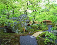 宝厳院 春の特別拝観