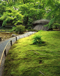 宝厳院 春の特別拝観