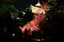 二条城ライトアップ 2009