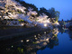岡崎疏水桜ライトアップ '09