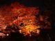 亀岡 紅葉ライトアップ 神蔵寺