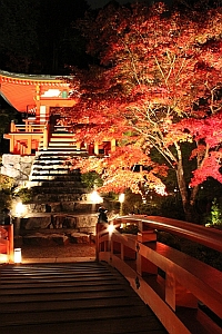 醍醐寺 秋期夜間拝観【事前申込制】