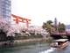 京都のまち歩きイベント「まいまい京都2012春」【岡崎】地形と水利用から読み解く、岡崎の文化的景観
