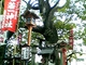 京都のまち歩きイベント「まいまい京都2012春」【平家物語】清盛は海を向いていた！大邸宅・西八条第を体感する