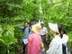 京都のまち歩きイベント「まいまい京都2012春」　【梅小路】 森ガイドと訪ねる、梅小路公園・いのちの森へ