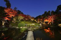 妙心寺退蔵院 秋のお食事付き特別拝観