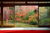 妙心寺退蔵院 秋のお食事付き特別拝観