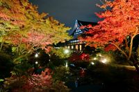 金戒光明寺(こんかいこうみょうじ) 御影堂・大方丈・庭園 夜間拝観 ライトアップ