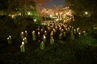 京都・東山花灯路-2017