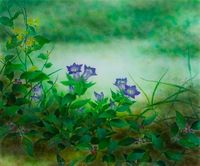 ~ガラスに咲く花~ 寺田 正 絵画展