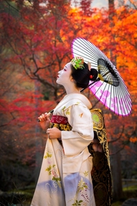 世界遺産東寺・花と紅葉の芸舞妓ライトアップ撮影会