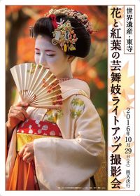 世界遺産東寺・花と紅葉の芸舞妓ライトアップ撮影会