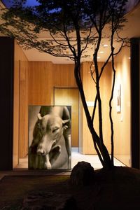 何必館・京都現代美術館 光の表象 田原桂一 光画展