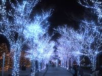 京セラ本社イルミネーション 2016