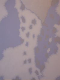 新鋭日本画三人展