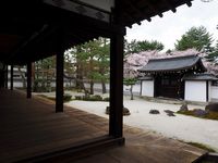 大本山百萬遍知恩寺 三日間 春の特別公開