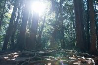 relaxmax 写真展 LOVE +LIGHT