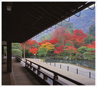 天龍寺（てんりゅうじ）