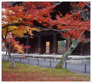 南禅寺（なんぜんじ）