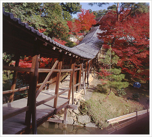 高台寺（こうだいじ）