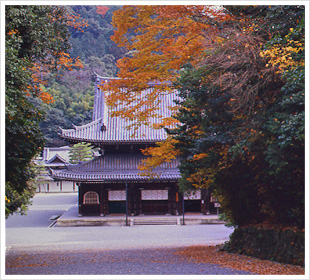 泉涌寺（せんにゅうじ）