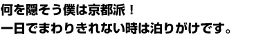 何を隠そう僕は京都派！一日でまわりきれない時は泊りがけです。