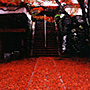亀岡で見つけた“自然のままの紅葉”を満喫