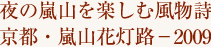 夜の嵐山を楽しむ風物詩 京都・嵐山花灯路～2009