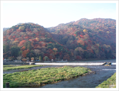 ひんやりとした秋の空気が心地よい嵐山