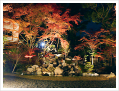 境内に紅葉を楽しむ庭園「錦景園」がある長岡天満