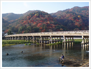 京都絶景もみじスポット 嵐山