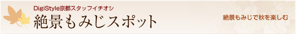 DigiStyle京都スタッフイチオシ 京都絶景もみじスポット