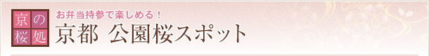 お弁当持参で楽しめる！ 京都 公園桜スポット