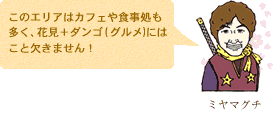 ミヤマグチのおすすめ桜スポット