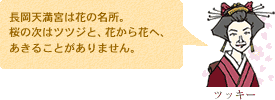 ツッキーのおすすめ桜スポット