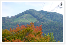 吉田山プチ登山と大文字山を臨むウォーキング