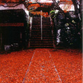 神蔵寺‎