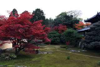 鹿王院  本庭