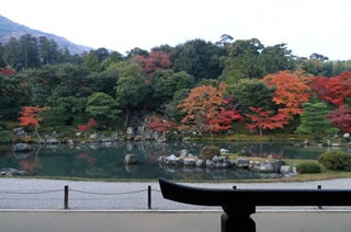 天龍寺  曹源池