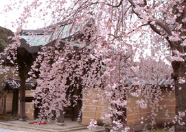 Area.2 東山 higashiyama 石畳の小径が続く祇園から東山をそぞろ歩き