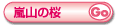嵐山の桜