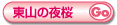 東山の夜桜
