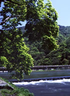 写真1