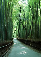 写真4
