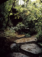 写真3