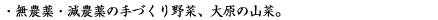 無農薬・減農薬の手づくり野菜、大原の山菜。