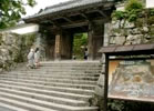 写真1